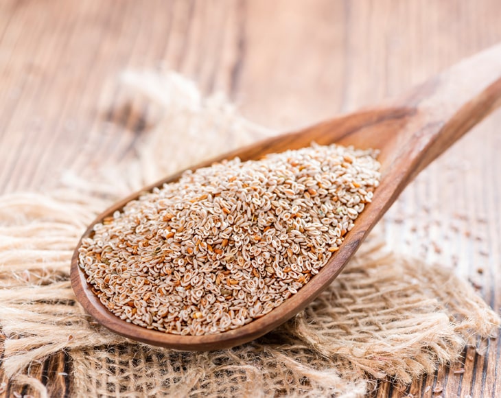 Cleaned Plantago ovata psyllium seeds