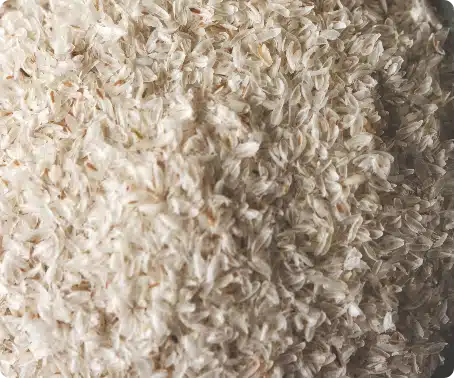 Bulk psyllium husk flakes
