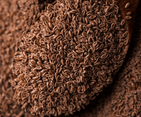 Cleaned Plantago ovata seeds